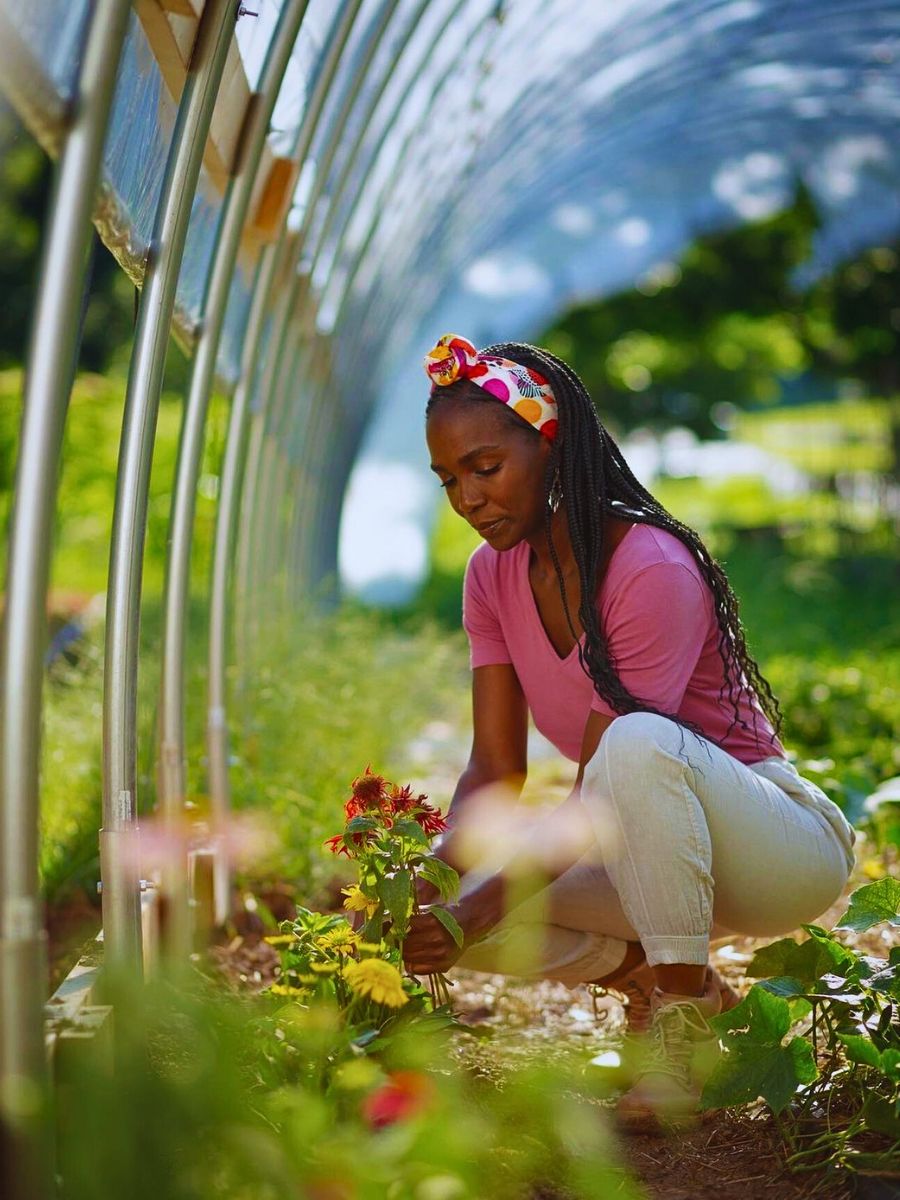 Growing flowers Healthy Soil in Sustainable Floriculture, Biodiversity Protection, and Climate Support