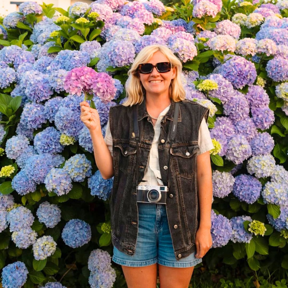A blonde woman in a background of hydrangeas A blonde woman in a background of hydrangeas