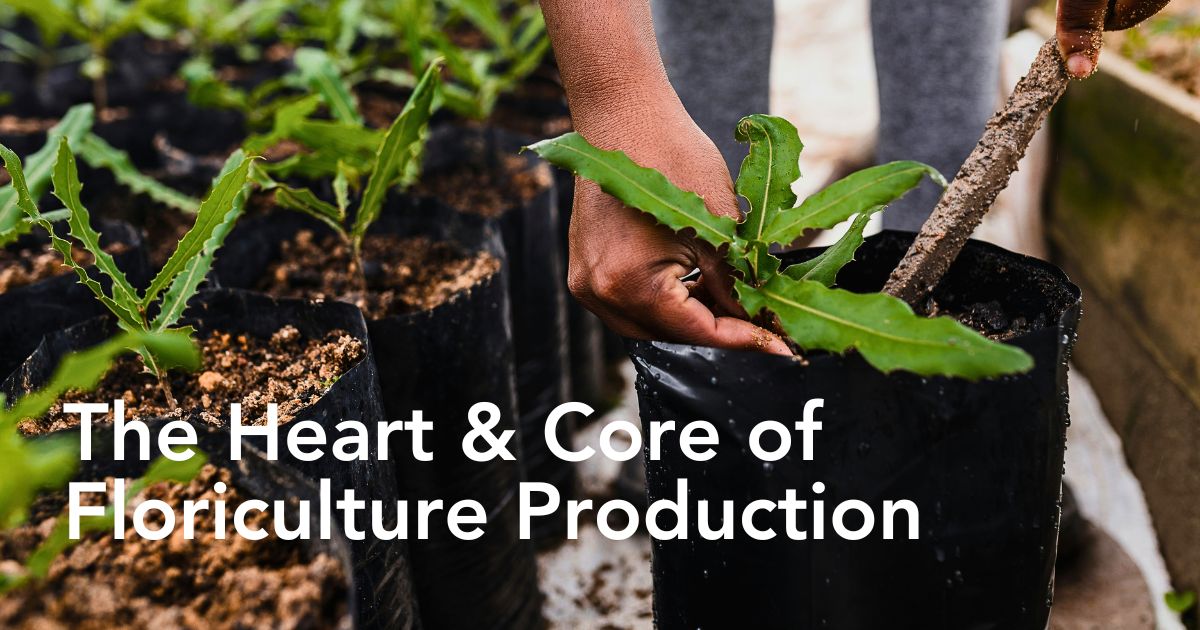 Healthy Soil in Sustainable Floriculture, Biodiversity Protection, and Climate Support - Thursd Article