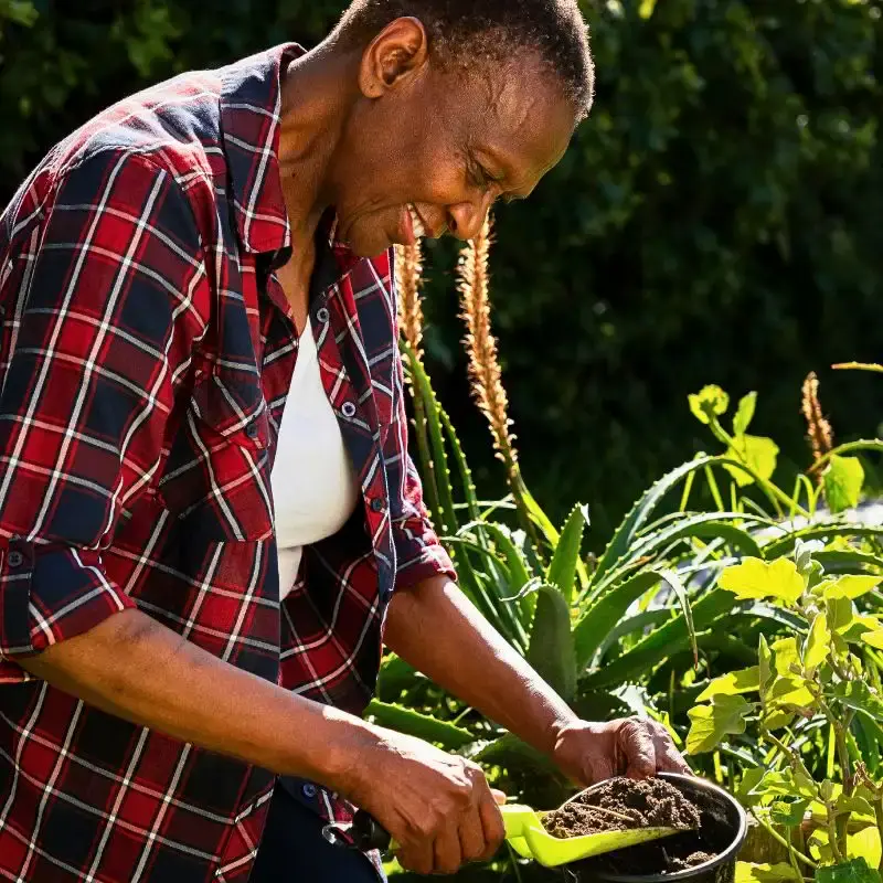 Healthy Soil in Sustainable Floriculture, Biodiversity Protection, and Climate Support - Thursd Article
