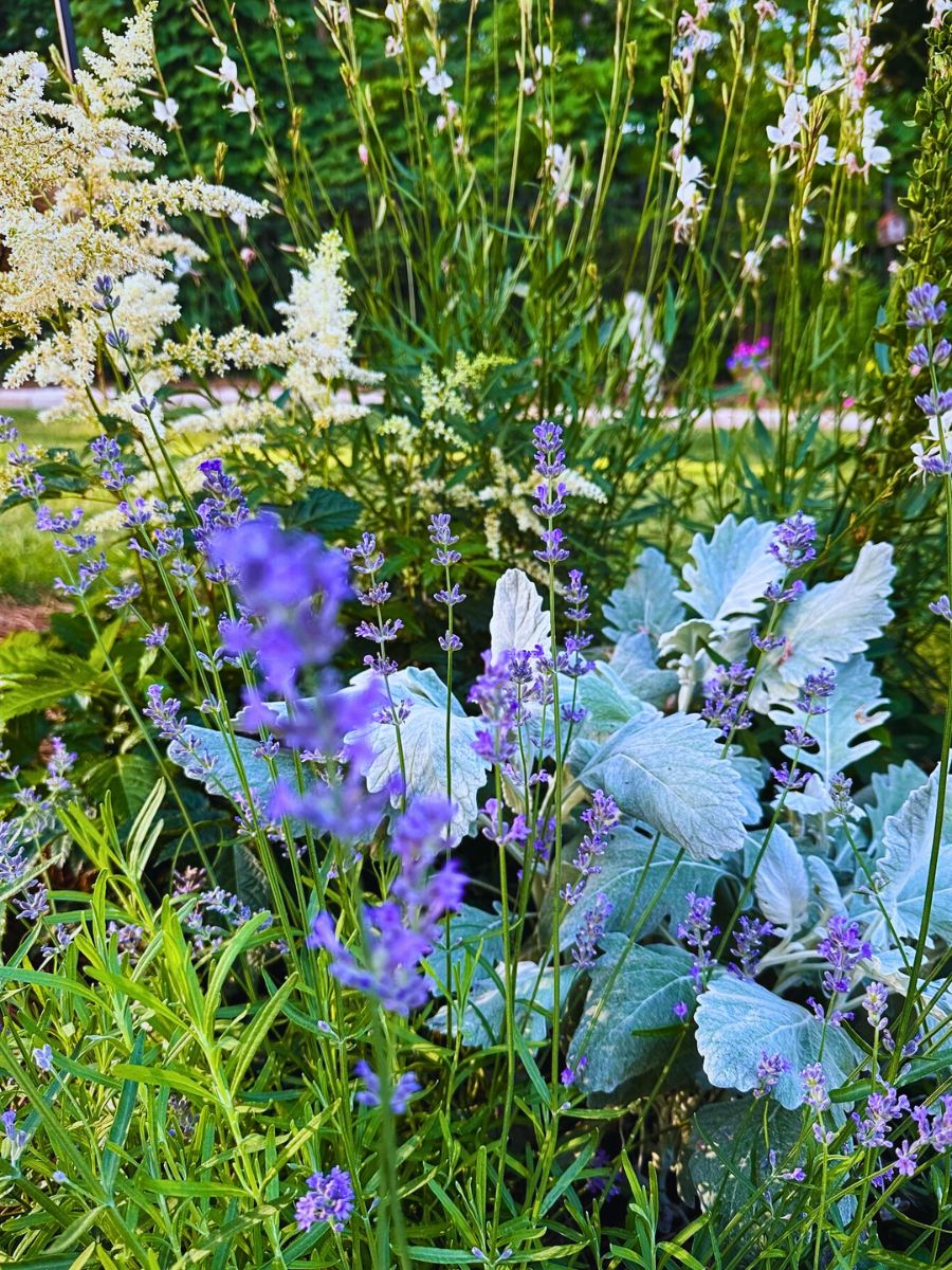 Moon garden plants A Moon Garden With Flowers That Glow at Night