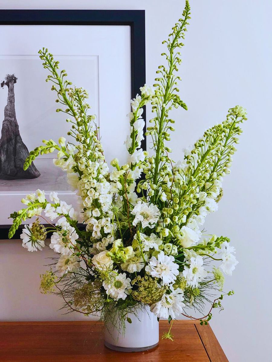 Delphinium bouquet Chrysal Care Tips for Delphiniums to Ensure Their Freshness for Longer