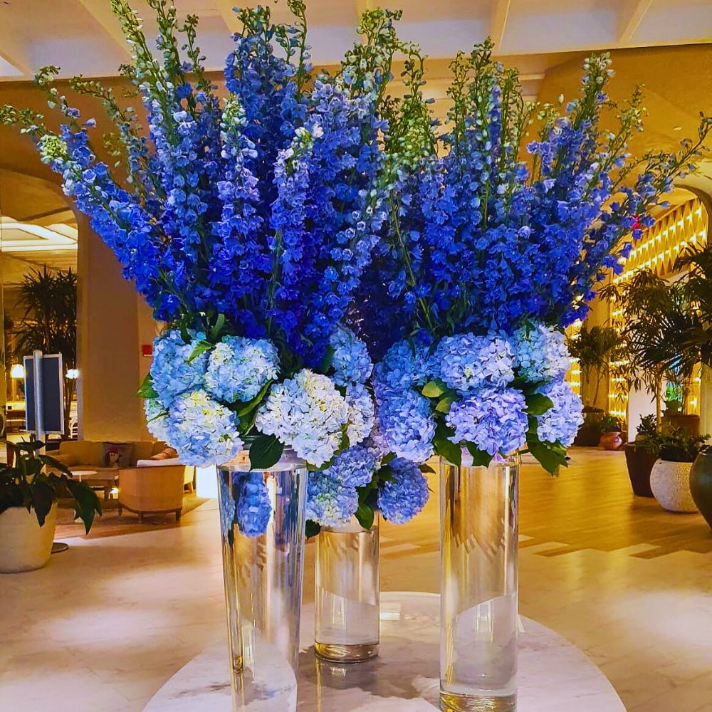 Delphinium arrangement Chrysal Care Tips for Delphiniums to Ensure Their Freshness for Longer