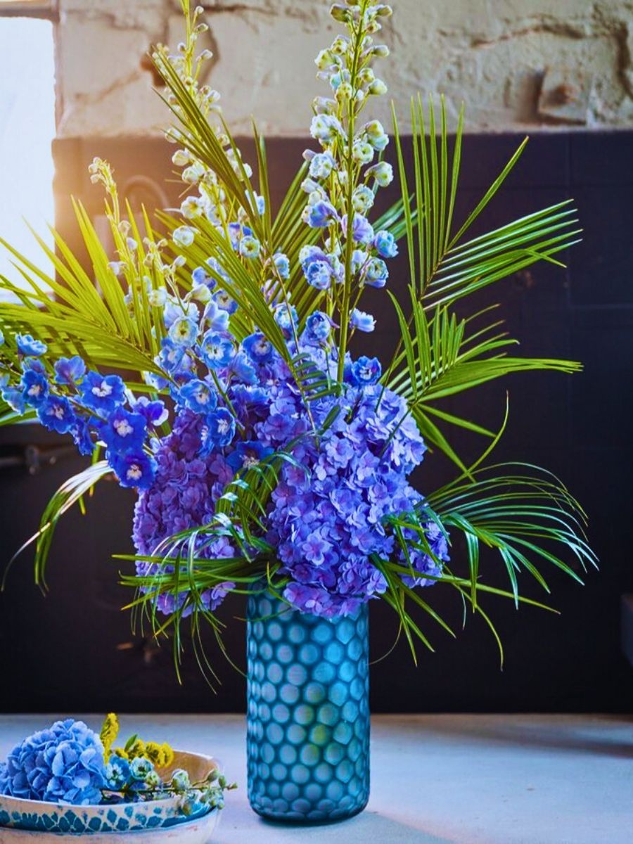 Delphiniums in a bouquet Chrysal Care Tips for Delphiniums to Ensure Their Freshness for Longer