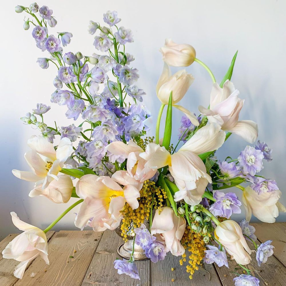 Delphinium bouquet Essential Care Tips to Guarantee Your Delphiniums Remain Fresh for Longer