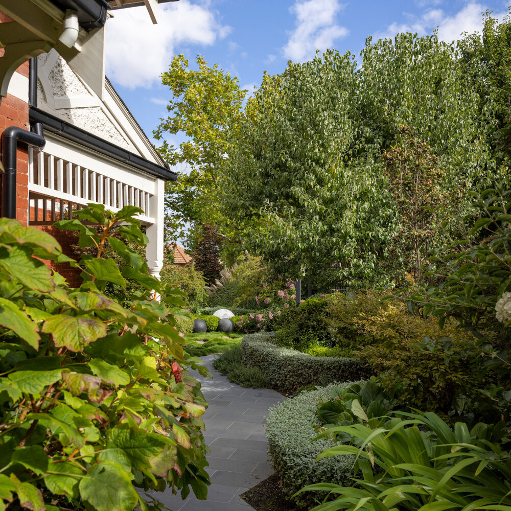 Lush garden path with greenery Lush garden path with greenery