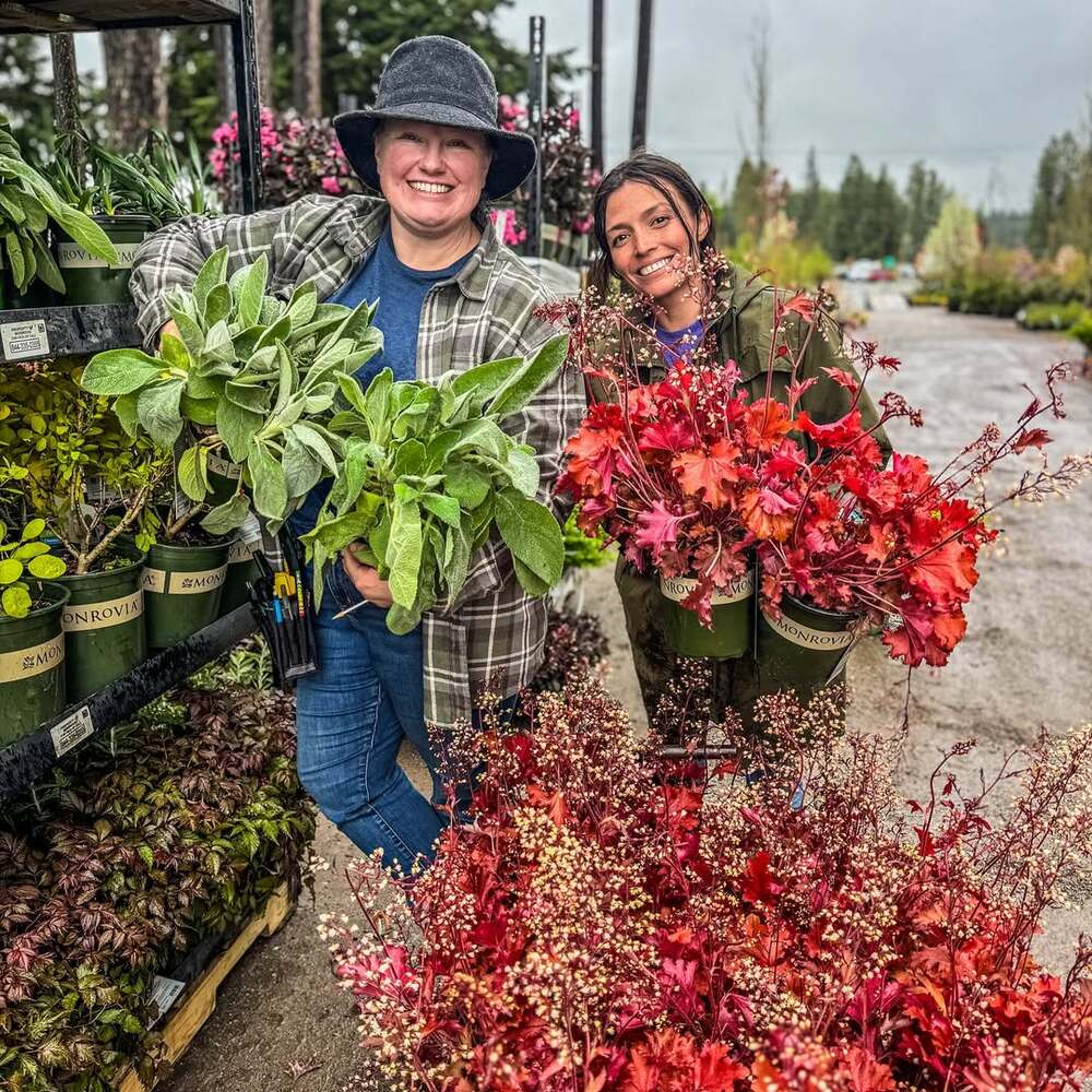 Gardeners showcasing vibrant potted plants Gardeners showcasing vibrant potted plants