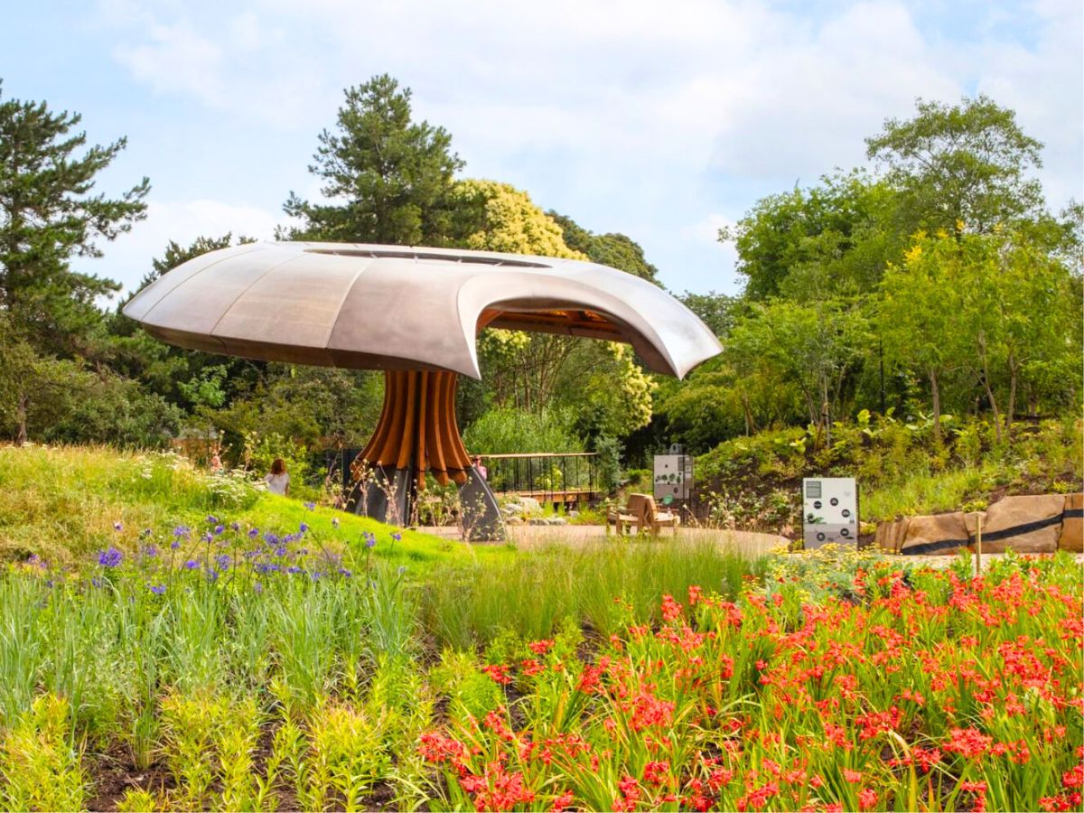 New mushroom pavilion at Kew Gardens New mushroom pavilion at Kew Gardens