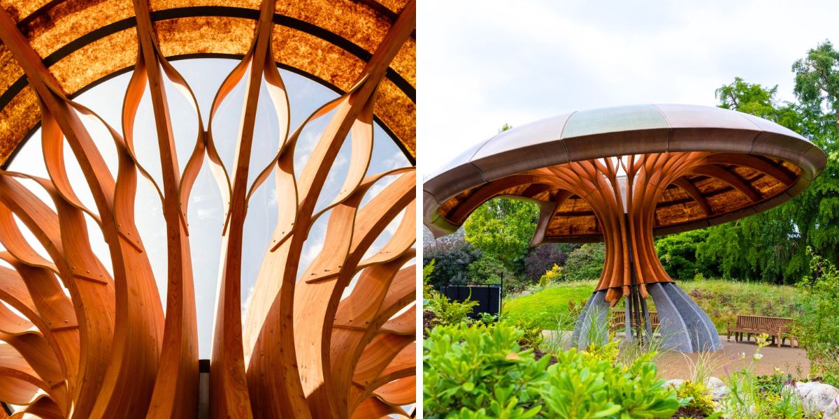Wood material columns inside the mushroom
