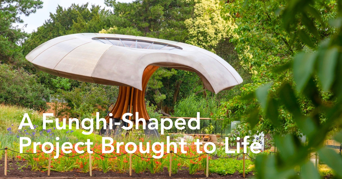 Funghi shaped project