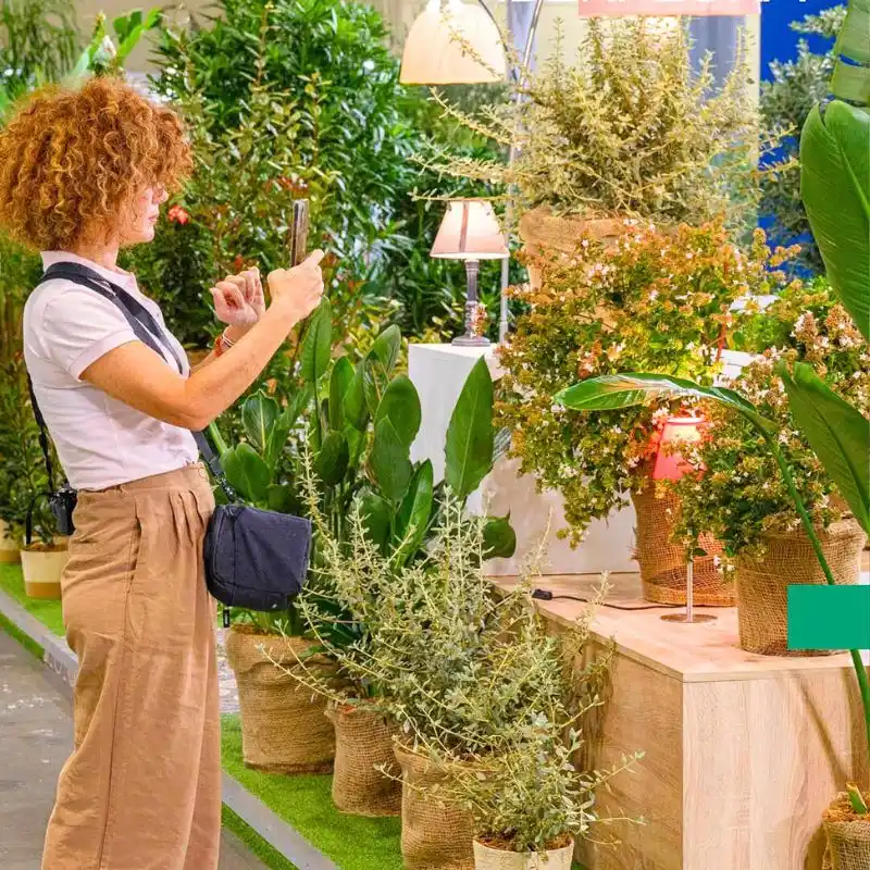 Iberflora filled with plants and colorful flowers