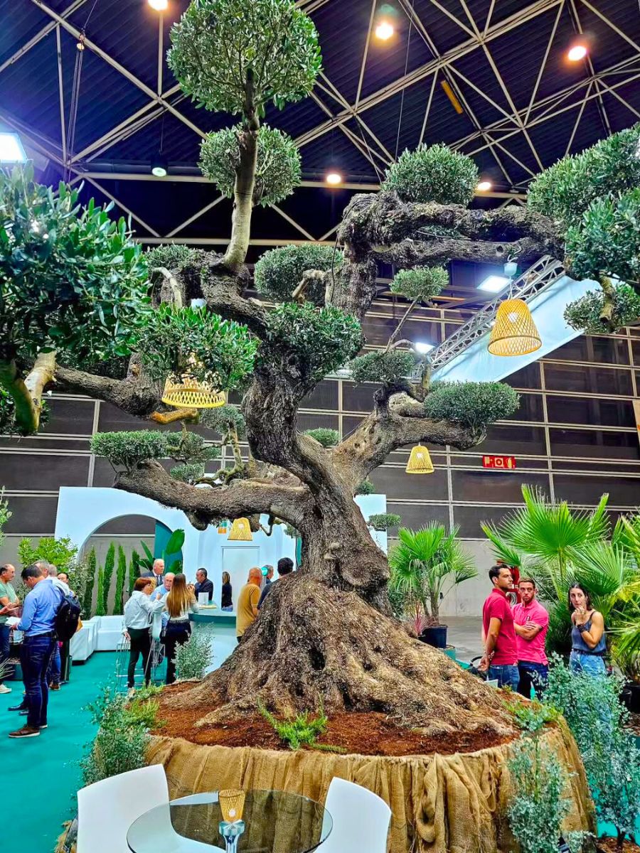 Huge tree at the Iberflora Valencia