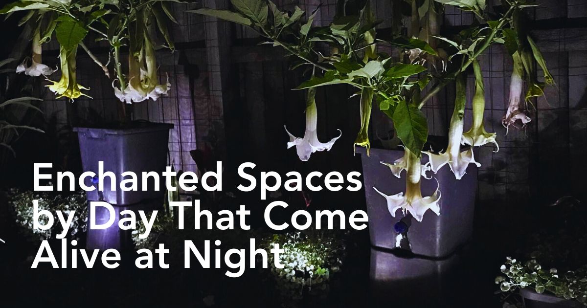 How to Create a Simple Moon Garden With Flora That Glows When It Gets Dark - Thursd Article