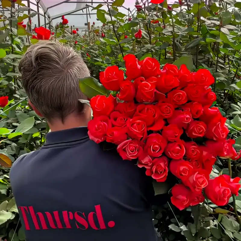 Peter van Delft in Colombia With Orangiata Roses.