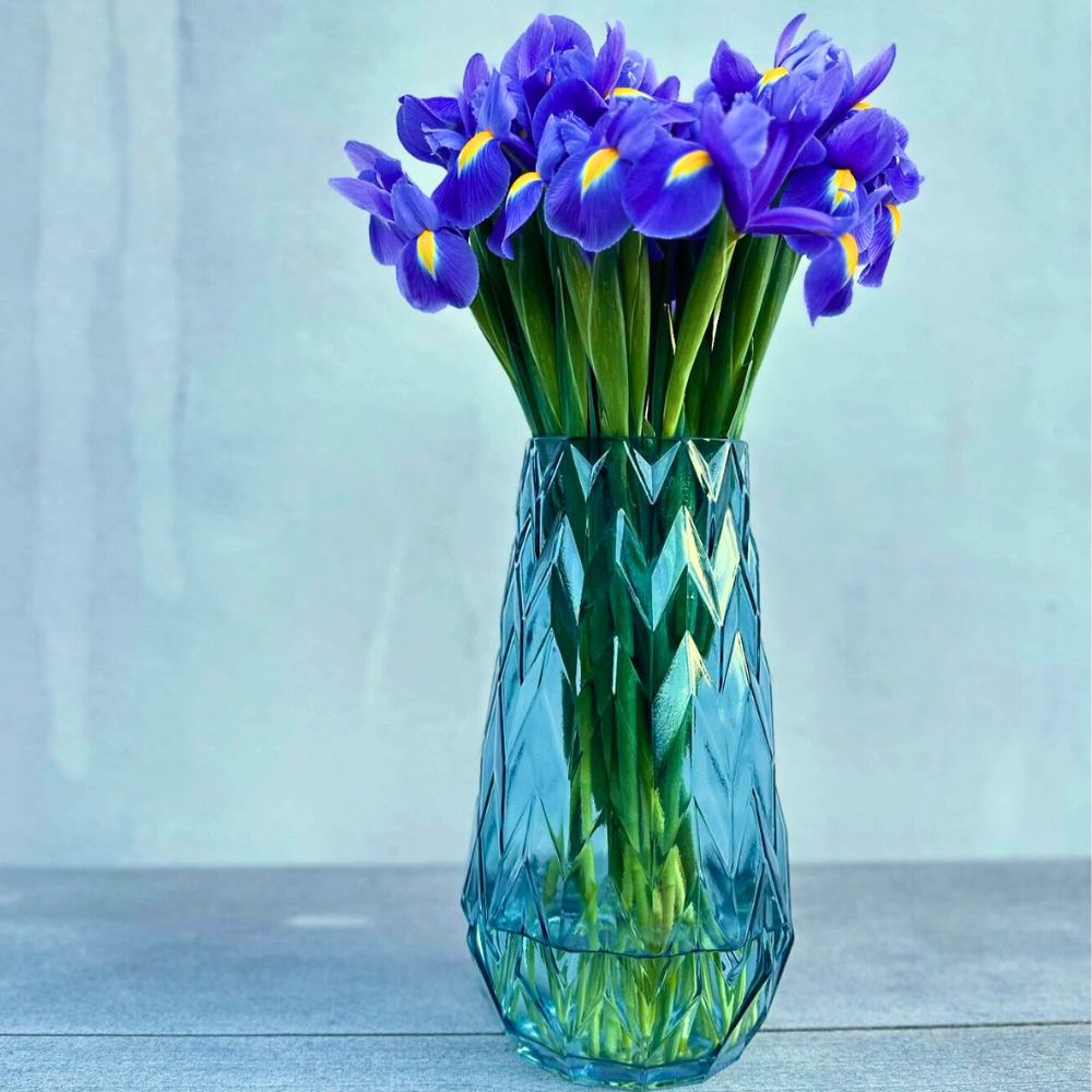 Blue Iris flowers in a vase bunch of blue irises kept in a vase