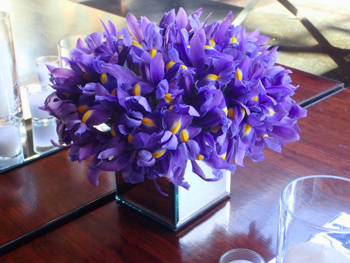 Blue Iris flowers on a vase Blue irises are greaat flowers and perfect gift offering unique structure and appeal to floral designs