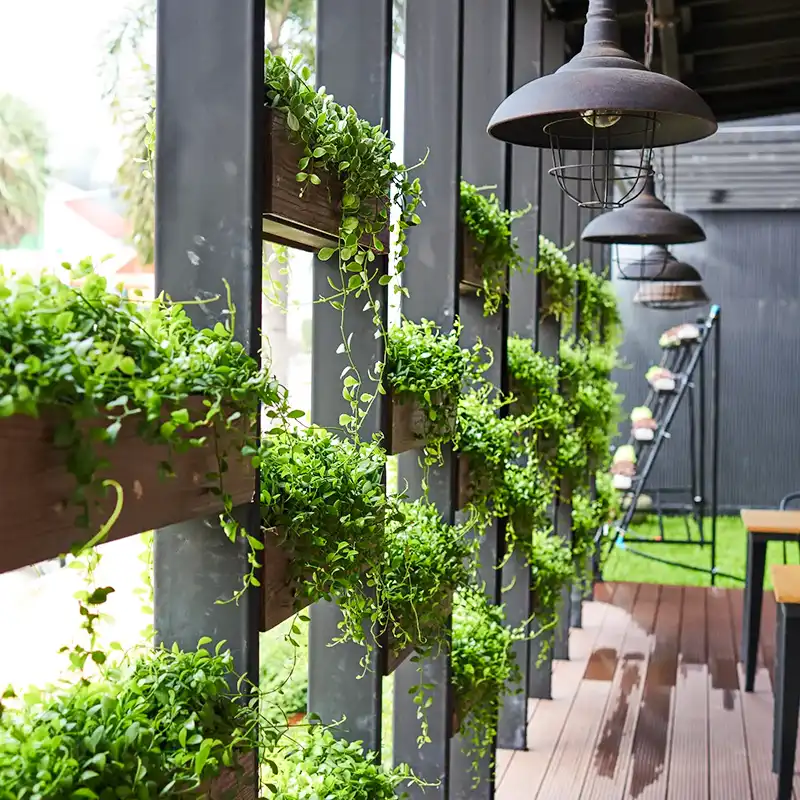 Journal of Biophilic Design Vanessa Champion square feature