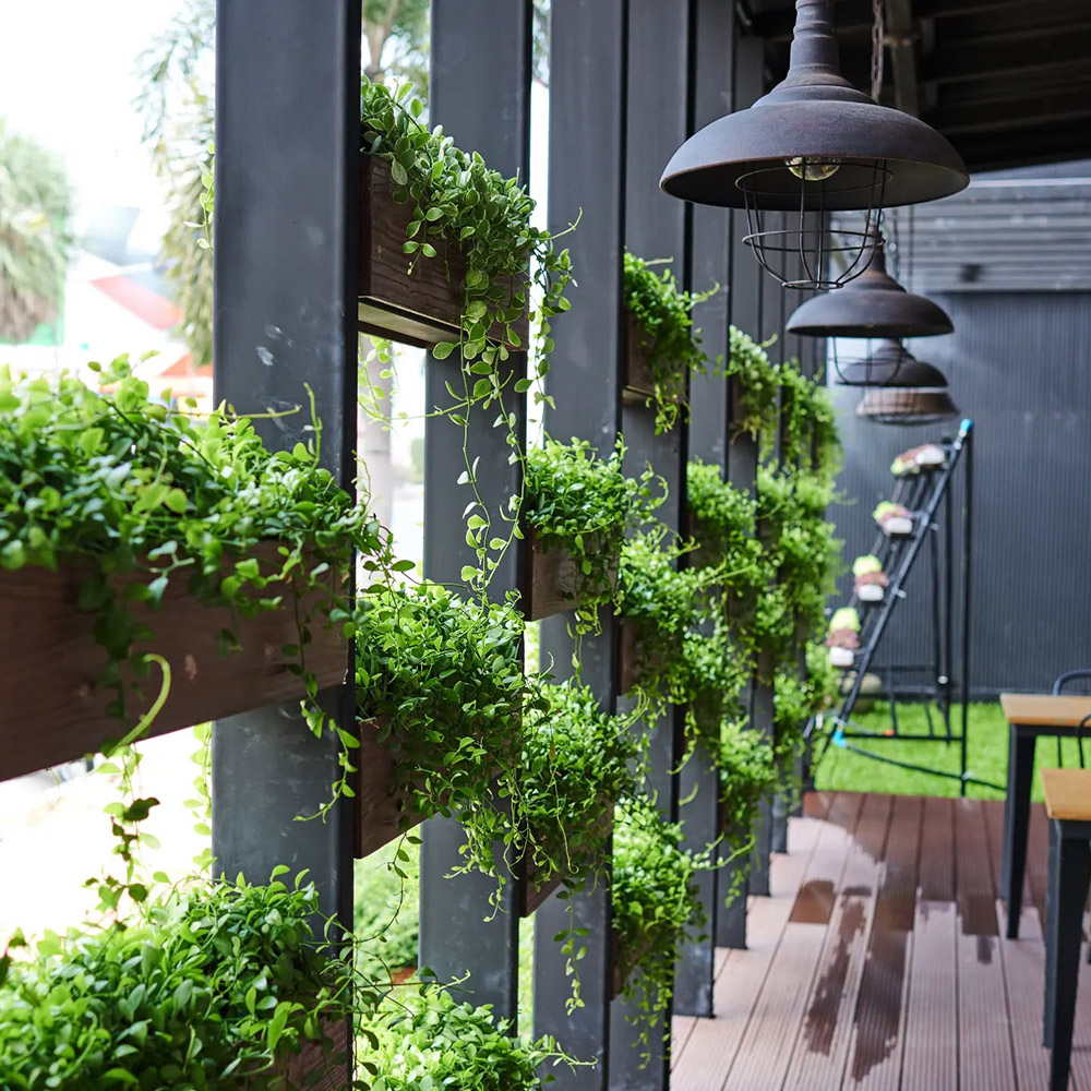 Biophilic Design hanging plant wall by sara.n.co