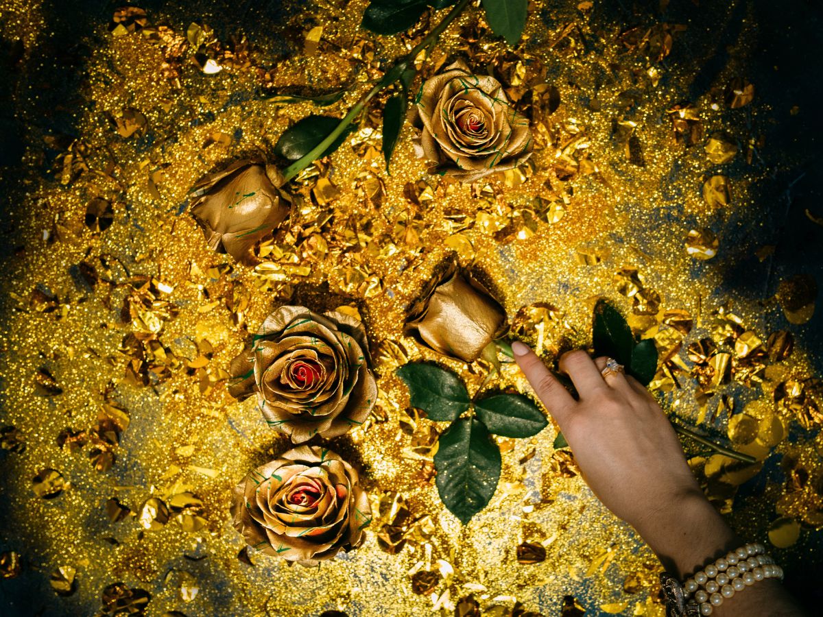 The perfect golden tinted roses The perfect golden tinted roses