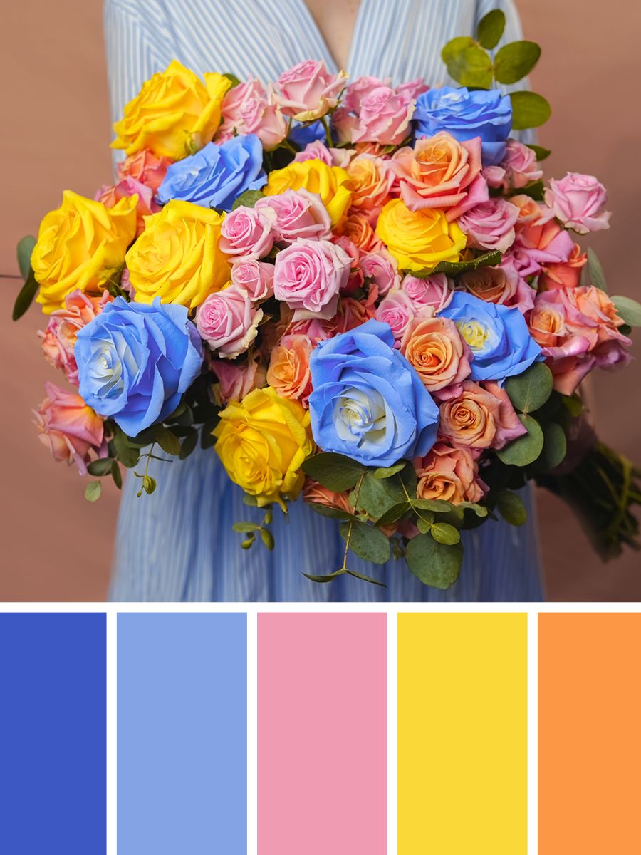 Summer palette of tinted roses Summer palette of tinted roses