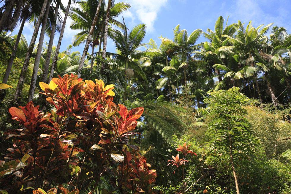Virtual garden tour