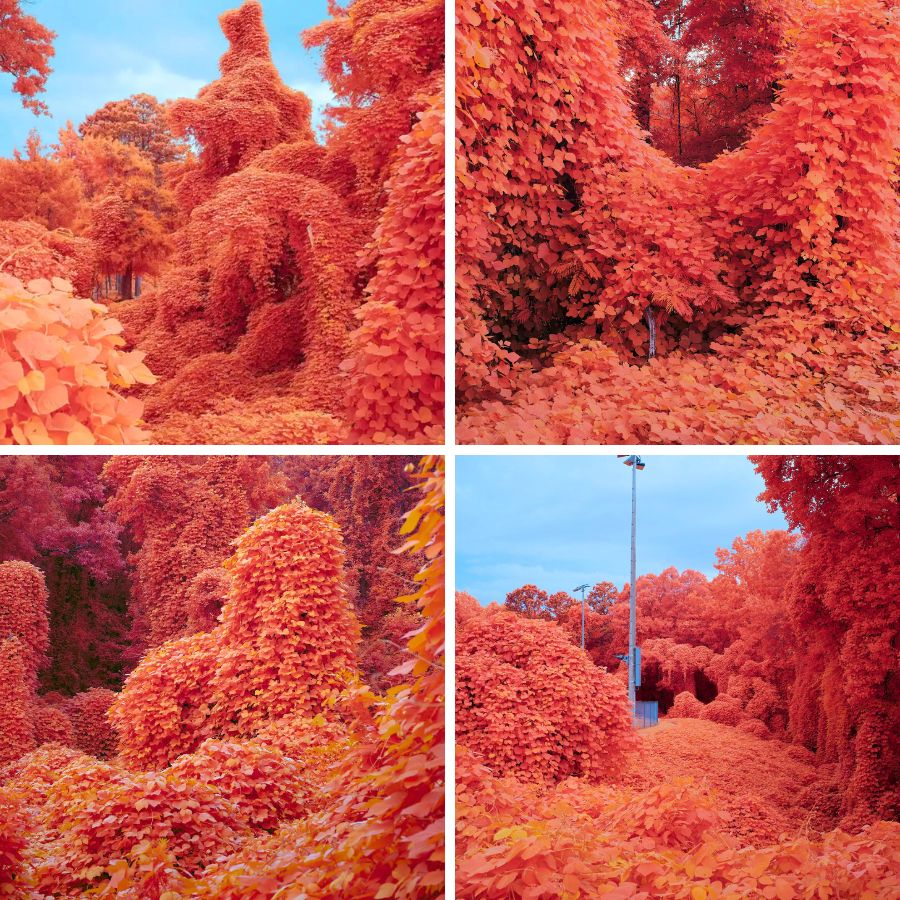 More scenarios photographed by Zac Henderson
