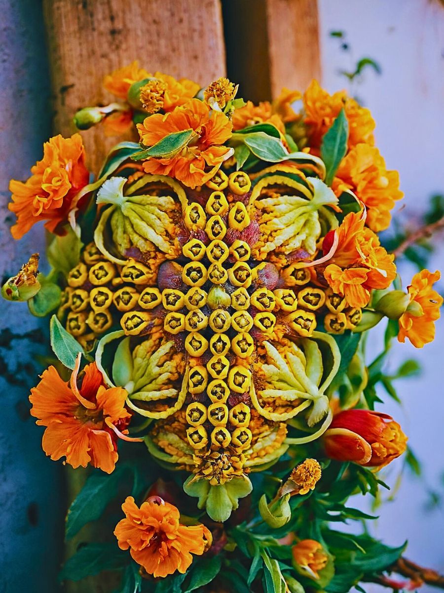 Coordinated Efforts Show How India Is Gradually Beating the Synthetic Flower Scourge