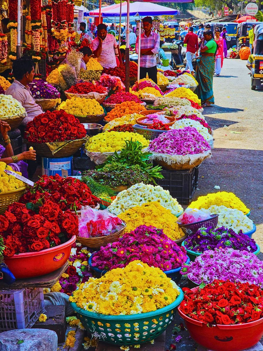 Coordinated Efforts Show How India Is Gradually Beating the Synthetic Flower Scourge