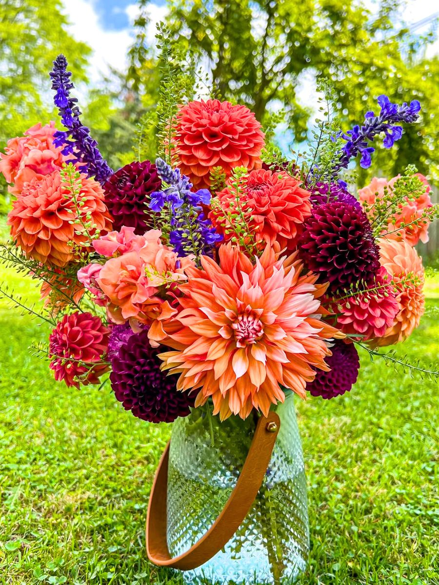 A floral arrangement made of Dahlias