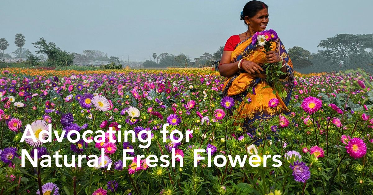 Coordinated Efforts Show How India Is Gradually Beating the Synthetic Flower Scourge - Thursd Article
