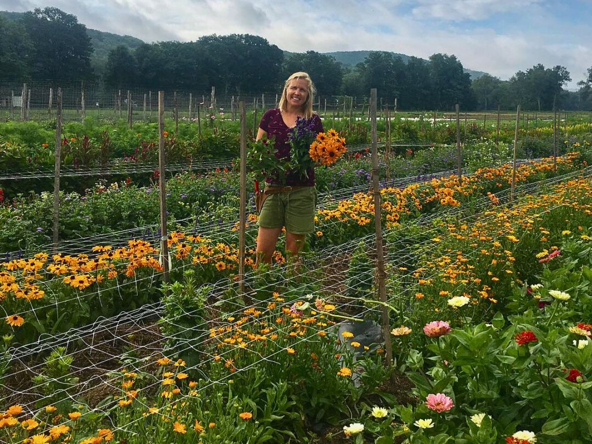 Flower cultivation So Many Benefits in Organic Floriculture, From Sustainable Flowers to Ecosystem Gains
