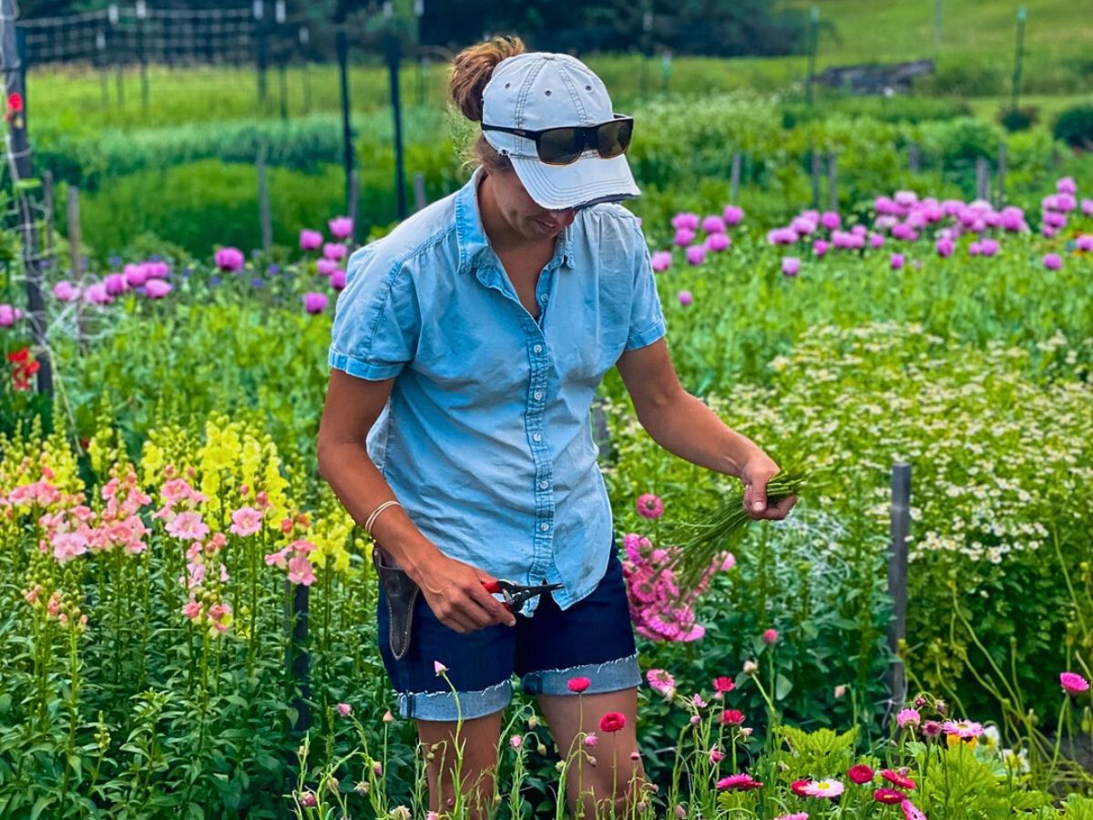 Flower cultivation So Many Benefits in Organic Floriculture, From Sustainable Flowers to Ecosystem Gains - Thursd Article