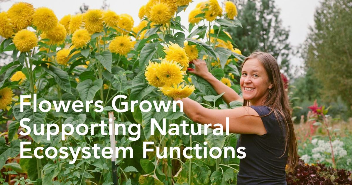 So Many Benefits in Organic Floriculture, From Sustainable Flowers to Ecosystem Gains - Thursd Article