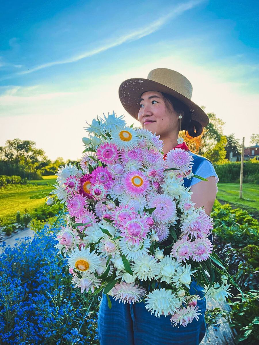 Flower cultivation So Many Benefits in Organic Floriculture, From Sustainable Flowers to Ecosystem Gains