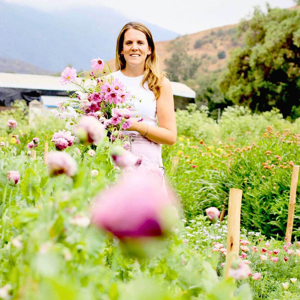 Cultivation of flowers So Many Benefits in Organic Floriculture, From Sustainable Flowers to Ecosystem Gains - Thursd Article