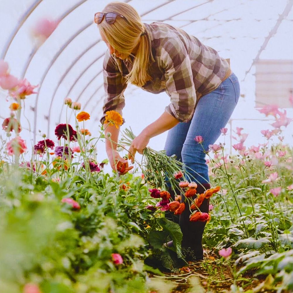 Cutting flowers So Many Benefits in Organic Floriculture, From Sustainable Flowers to Ecosystem Gains - Thursd Article