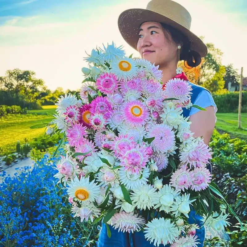 So Many Benefits in Organic Floriculture, From Sustainable Flowers to Ecosystem Gains - Thursd Article