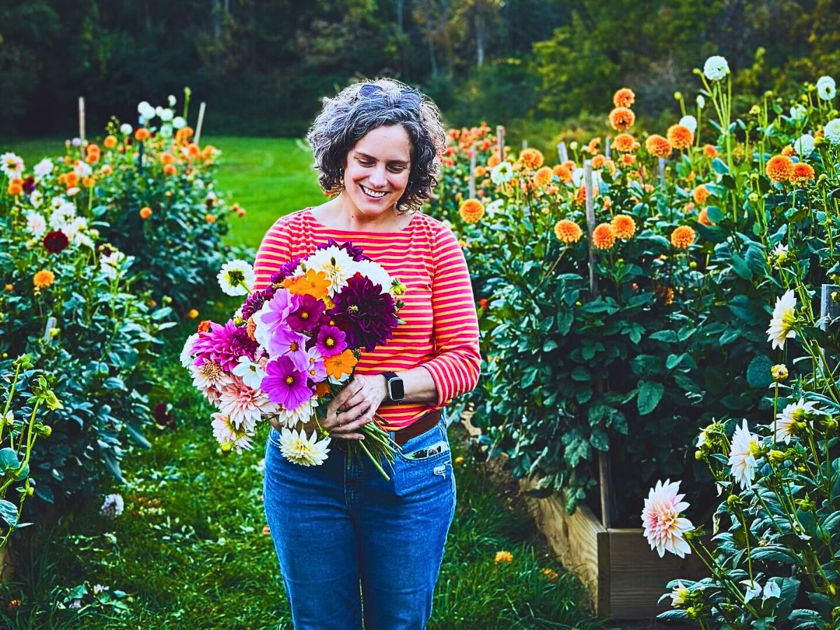 Colorful flowers Science of Flower Colors and Why Some Hues Easily Attract More Than Others