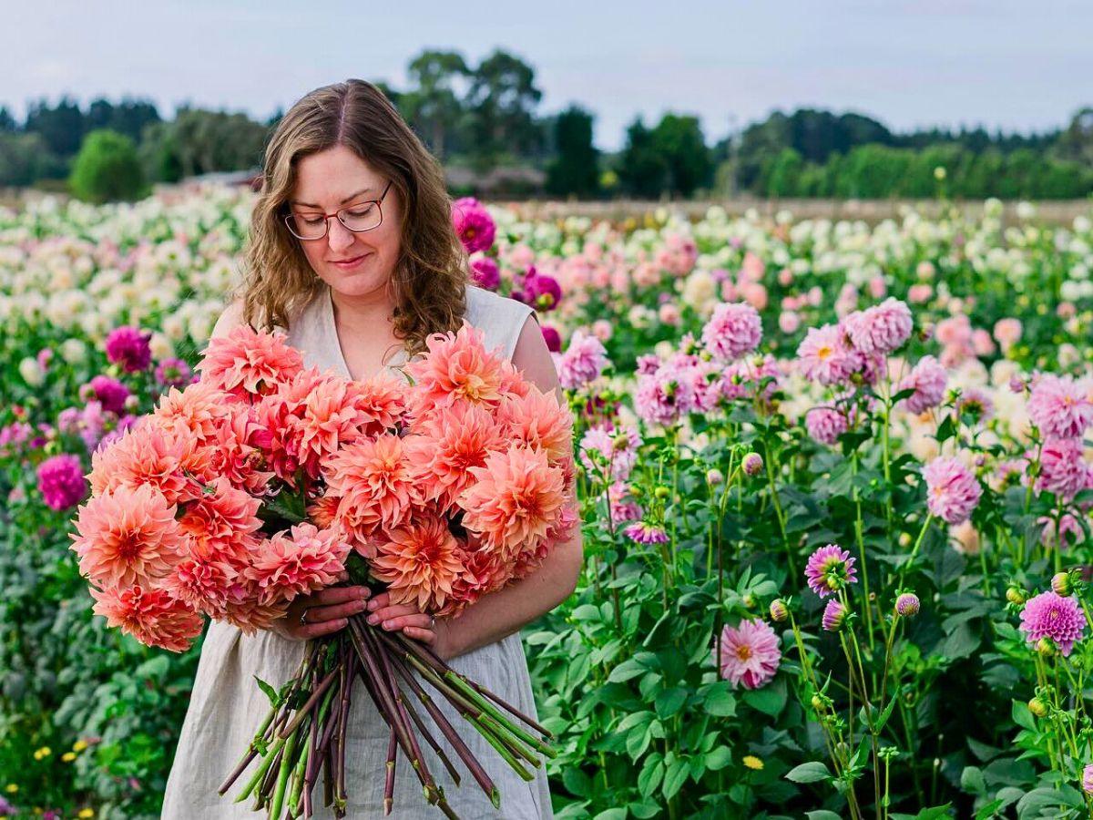 Floral bouquet The Science of Flower Colors: Why Some Attract Pollinators and Others Don’t