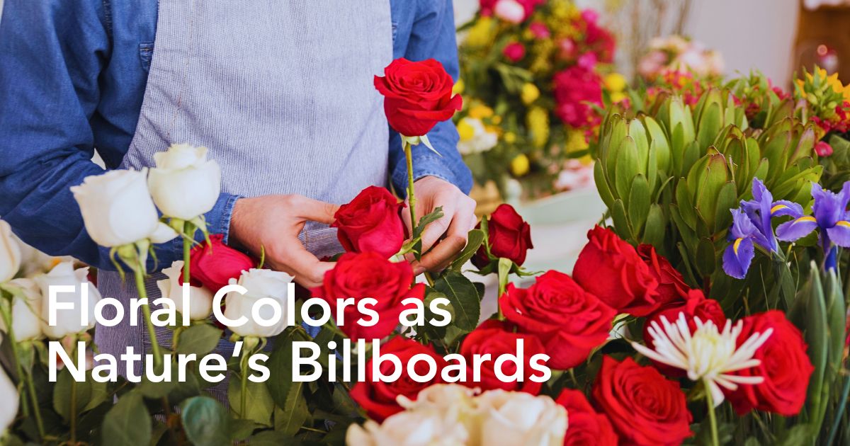 Science of Flower Colors and Why Some Easily Attract More Attention Than Others - Thursd Article