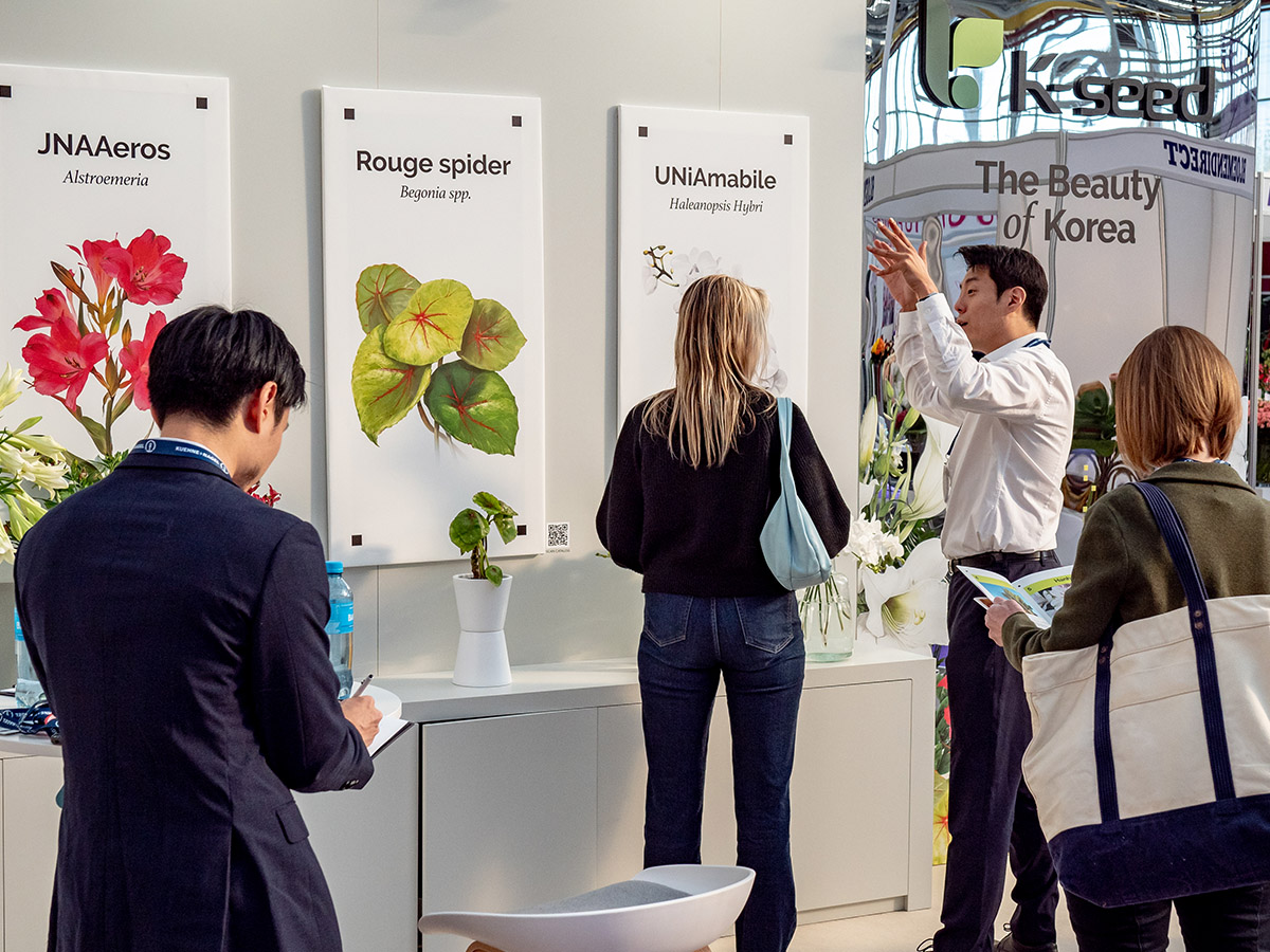 K Seed booth at IFTF 2024 K Seed booth at IFTF 2024