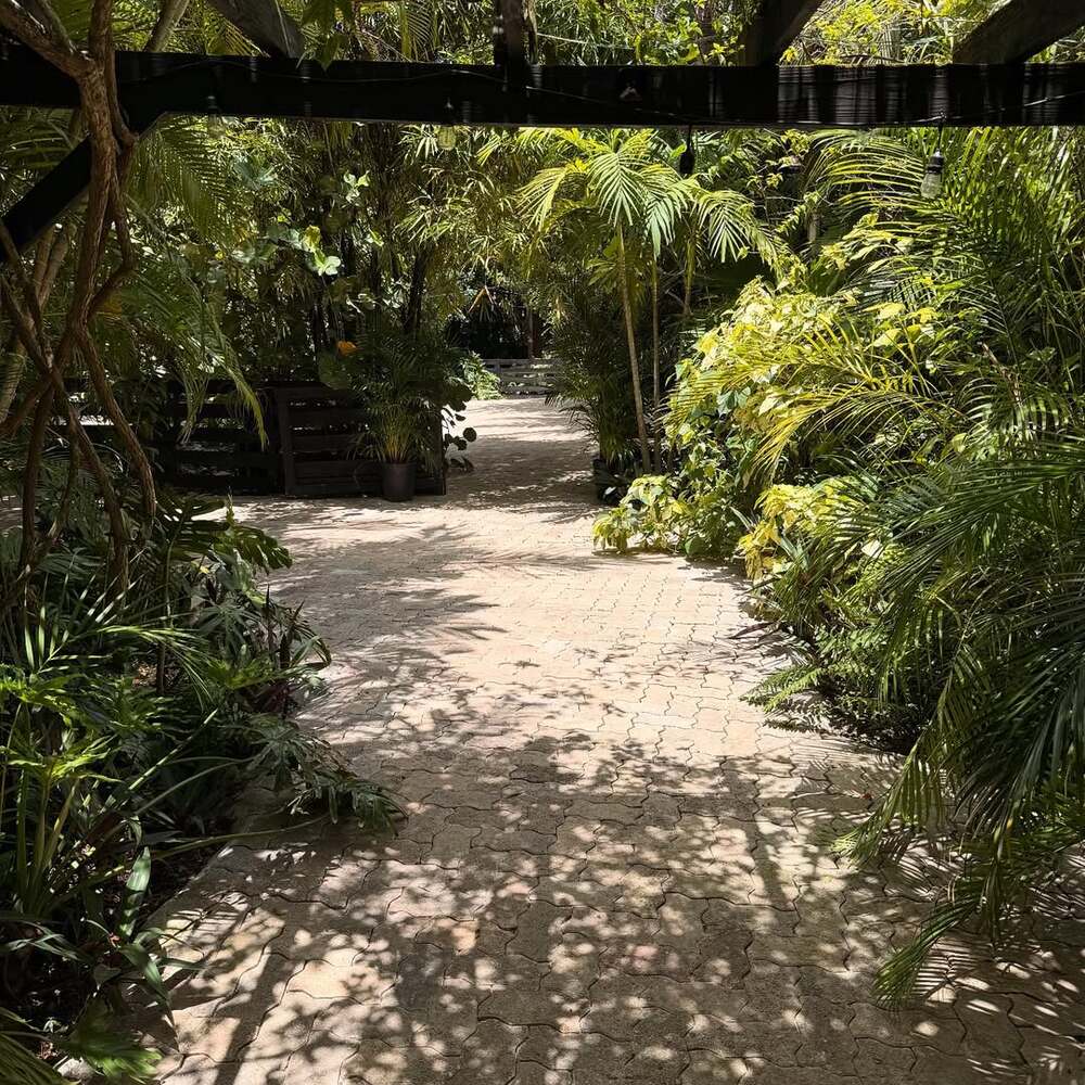 Sunlit pathway through lush secret garden Sunlit pathway through lush secret garden