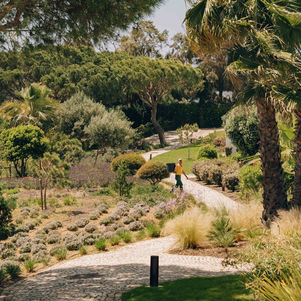 Winding path through vibrant garden oasis Winding path through vibrant garden oasis