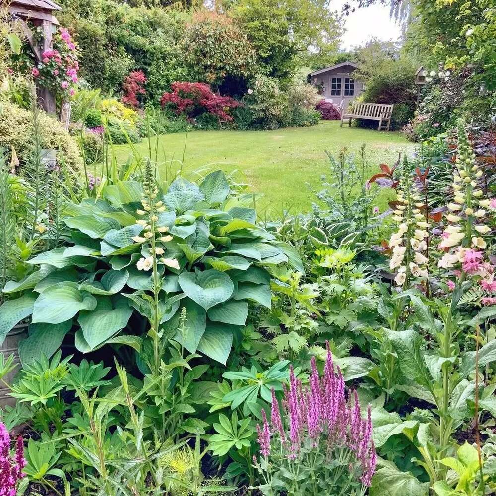 Lush vibrant secret garden view Lush vibrant secret garden view