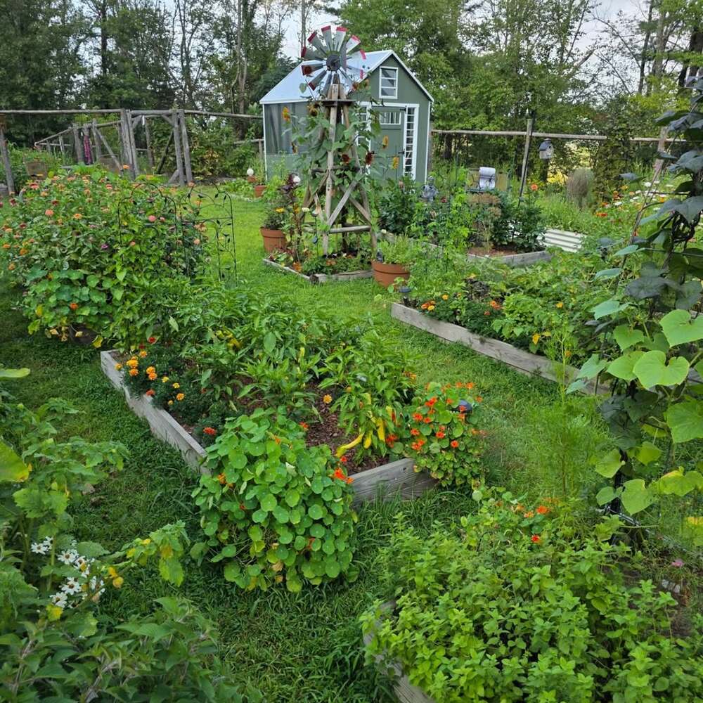 Charming garden with rustic windmill Charming garden with rustic windmill
