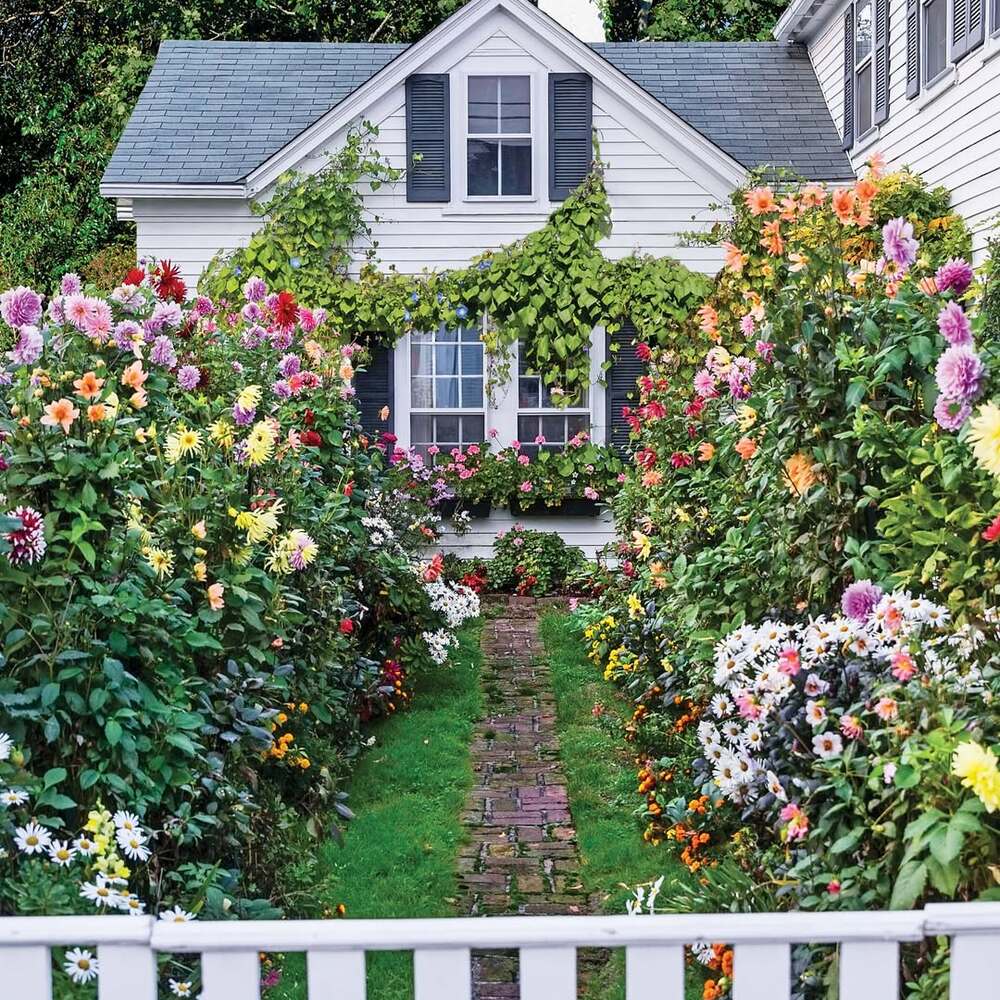 Charming house with vibrant flowers Charming house with vibrant flowers
