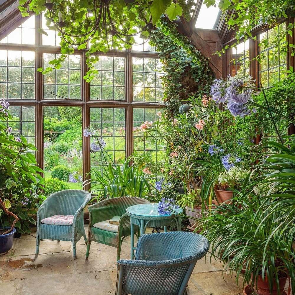 Cozy sunroom with lush plants Cozy sunroom with lush plants