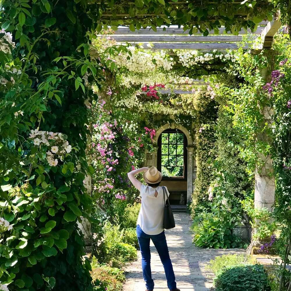 Woman exploring blooming garden walkway Woman exploring blooming garden walkway