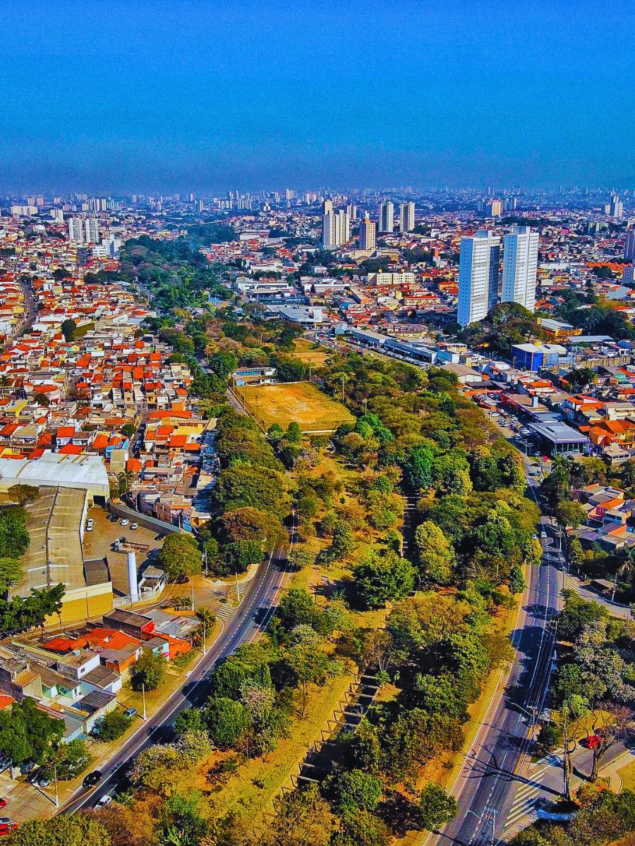 Tiquatira Linear Park Is a 3.2-Kilometer-Long, 100-Meter Wide Urban Park in São Paulo, Brazil, Transformed From a Degraded Area by Helio Da Silva. He Planted Over 40,000 Trees