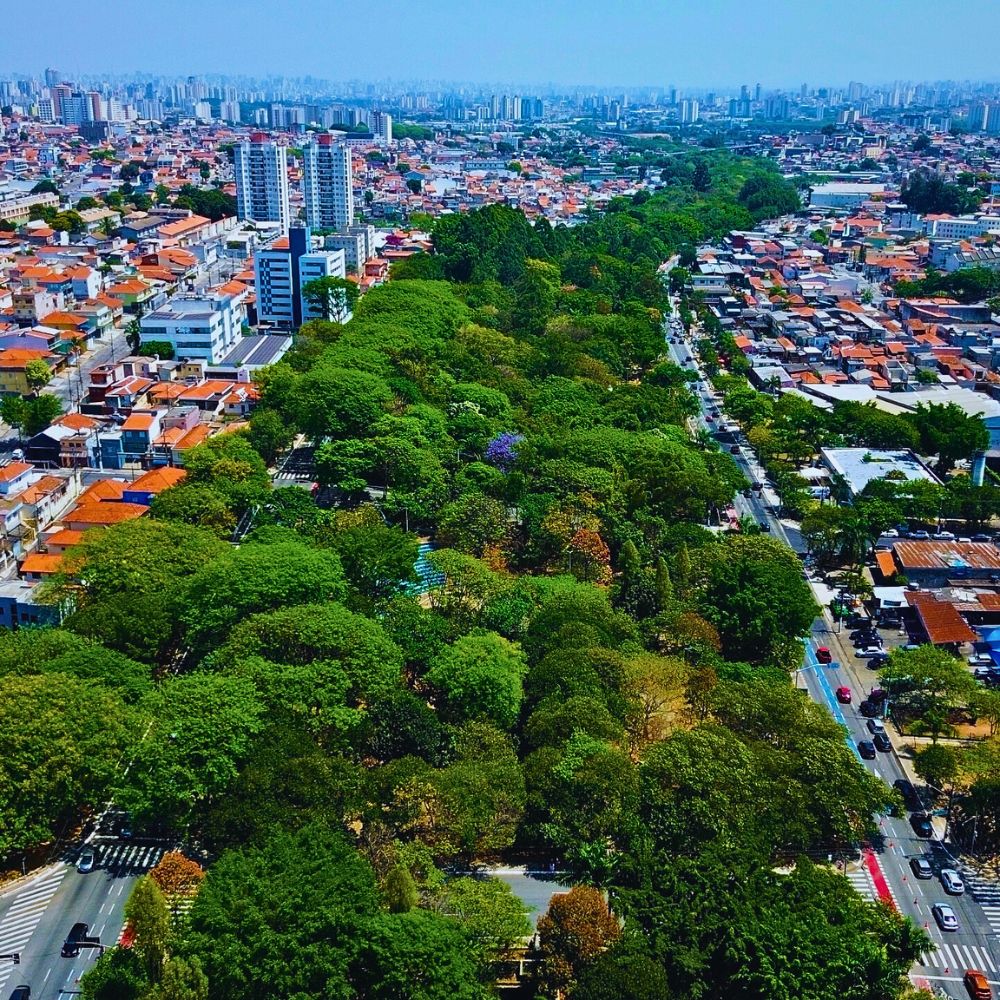 Tiquatira Linear Park Is a 3.2-Kilometer-Long, 100-Meter Wide Urban Park in São Paulo, Brazil, Transformed From a Degraded Area by Helio Da Silva. He Planted Over 40,000 Trees